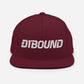 #D1Bound Snapback Hat